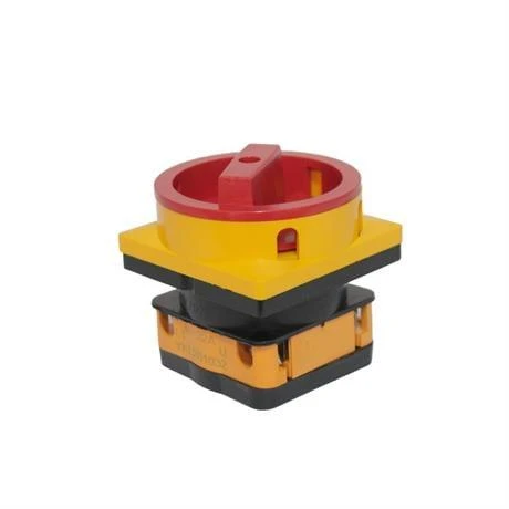 Opaş 2x32A 0-1 Aç-Kapa Kilitli Pako Şalter - YKL201032 - Resim 2