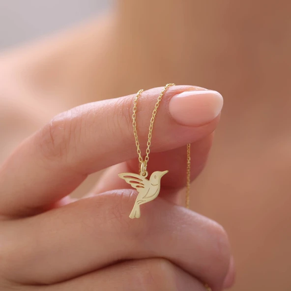 925 Ayar Gümüş Arı Kuşu Kolye ürün görseli