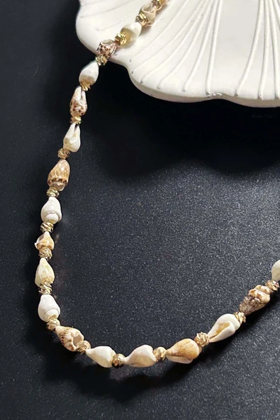 Deniz Kabuğu Kolye 425, Bej - Beyaz - 3