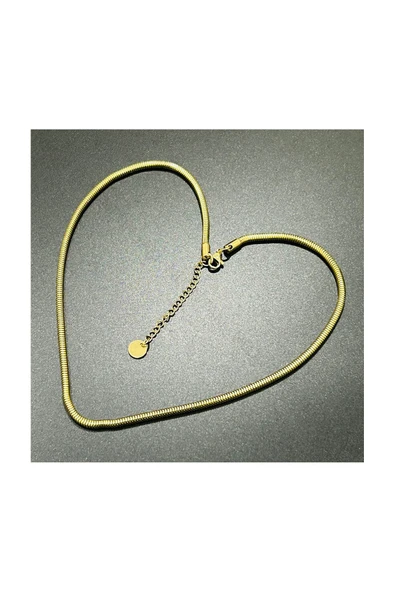 Kolye, Kararmayan Paslanmaz Çelik, Yılan Kombin Model, Altın Renk, Model253 - Resim 3
