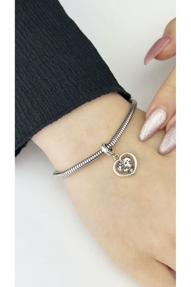 Charm, Kararmayan Çelik, Aile, Kalp ve Dünya, (BİLEKLİK DAHİL DEĞİLDİR!!), Gümüş Renk, Model16 - Resim 2
