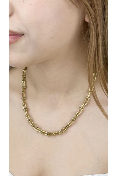 Kolye, Kararmayan Paslanmaz Çelik, Altın Renk, Model225 - Resim 2