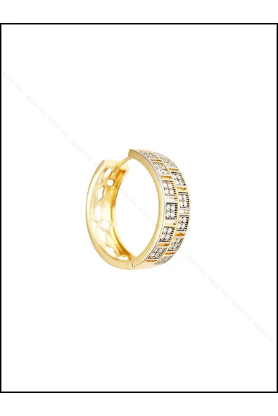 Zirkon Taşlı, Halka, Altın Kaplama Paslanmaz Küpe 244, Pembe (ROSE) Renk - 3