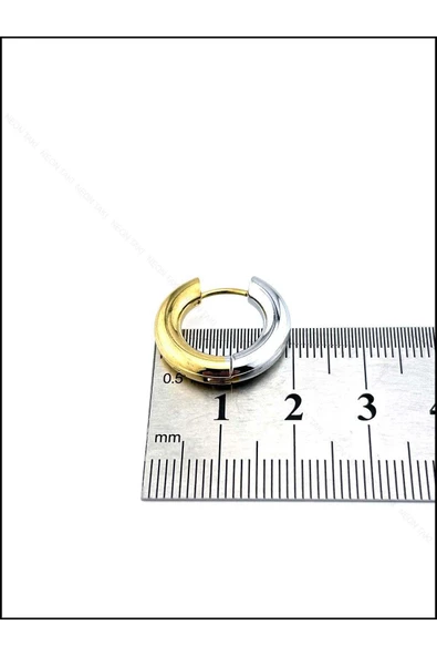 Çift Renk, Kalın Halka Model, Paslanmaz Çelik Küpe 565, Altın Renk - 5