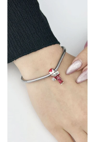 Charm, Kararmayan Çelik, Karakterli (BİLEKLİK DAHİL DEĞİLDİR!!), Gümüş Renk, Model33 - Resim 2