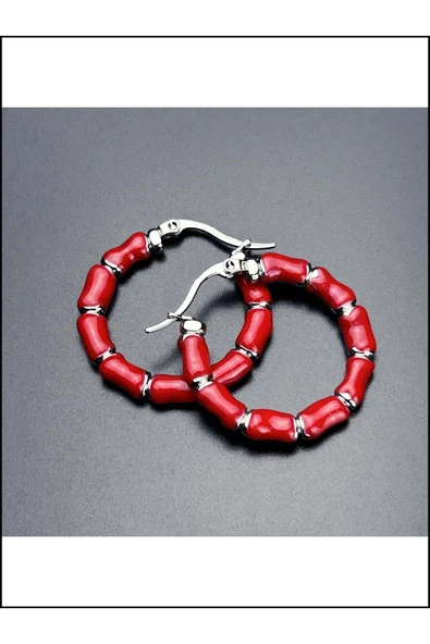 Küpe, Kararmayan Paslanmaz Çelik, Halka Model, Gümüş Renk, Model540 - Resim 3