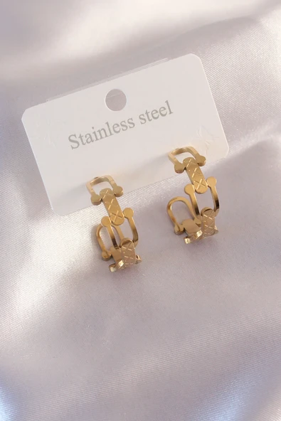 Çelik Gold Renk Tifanny Zincir Model Kadın Küpe - TJ-BKP6933 ürün görseli 1