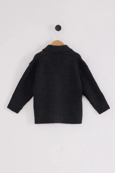 Lenaca U.s. Polo Assn Bebek Hırka Usb2608 Antrasit Melanj - 3