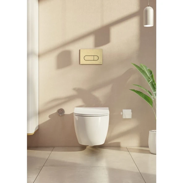 VitrA Root Round 740-2225 Kumanda Paneli, Fırçalı Altın - 5