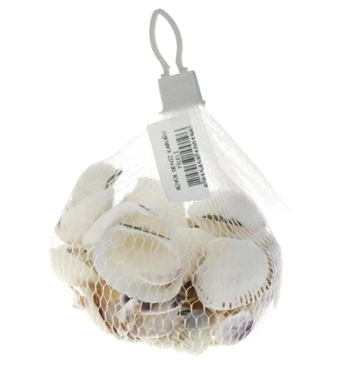 Deniz Kabuğu Filede ürün görseli 1