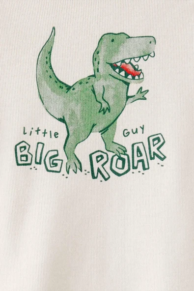 Erkek Bebek 3Lü Hırkalı CTR-1T878910 - Resim 3