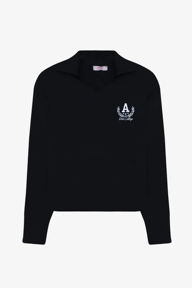 Quzu Gömlek Yaka Nakış Detaylı Kadın Triko Kazak - 2