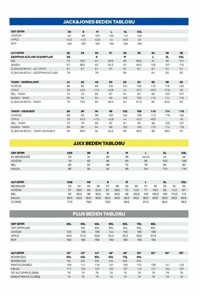 Jack Jones Soho Relax Fit Erkek Sweat 12278791 - Resim 8