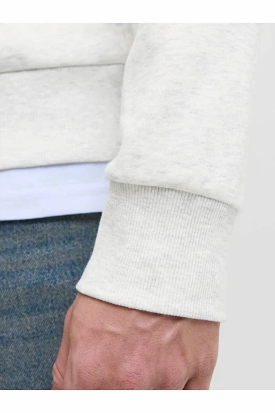 Jack Jones Pan Regular Fit Kapüşonlu Erkek Sweat 12278618 - Resim 5