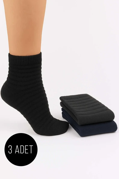 Kadın 3lü Şeritli Havlu Patik Çorap Asorti 1 ürün görseli