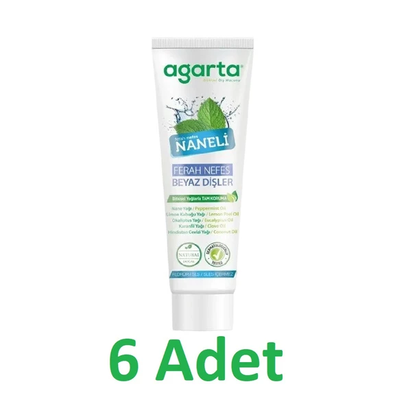 Agarta Diş Macunu Naneli 100ml x 6 adet