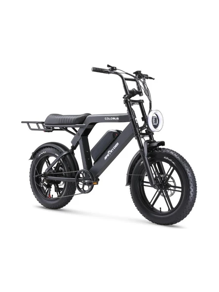 APE RYDER COLOBUS PREMIUM 750W ELEKTRİKLİ BİSİKLET GRİ - 3