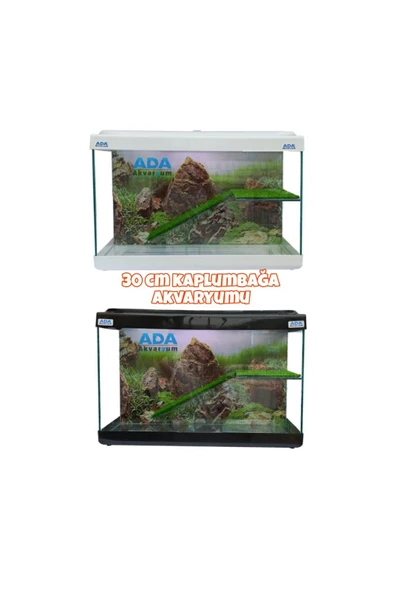 Ada Akvaryum Su Kaplumbağası Akvaryumu Bahçeli Rampalı Dinlenme  30x23x15 Cm  Arka Plan Hediyeli - 5
