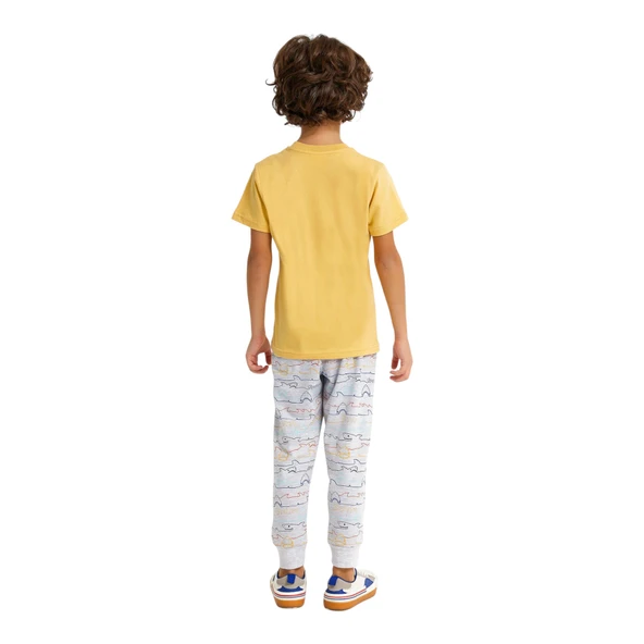 Shark Hardal Erkek Çocuk Eşofman Takımı - Resim 5