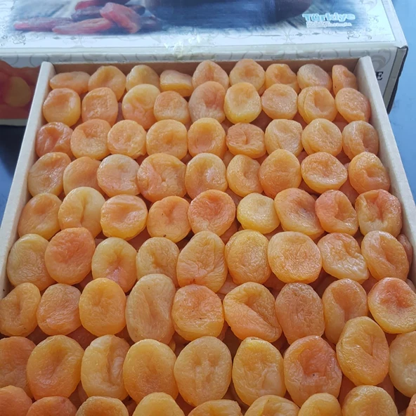 Toptan Lüks Ortaboy Sarı Kayısı 3 No 10 Kg - 2