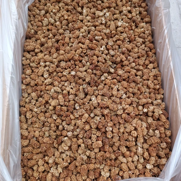 Toptan Dut Kurusu 1.Kalite 11 Kg - 2