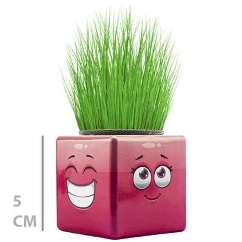 Çim Adam Mini Küp Emoji Figürlü 1 Adet - 2