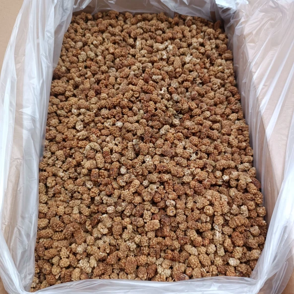 Toptan Dut Kurusu 1.Kalite 11 Kg