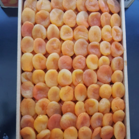 Toptan Lüks Sarı Kuru Kayısı 1 No 10Kg - 3
