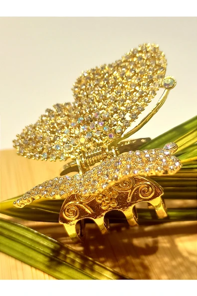 Monalisa Home 5 cm Lüks Parlak Renkli  Toka ürün görseli