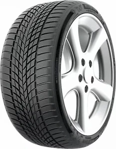 225/50R17 98V ROADFUN FUNTOMA KIŞ ürün görseli