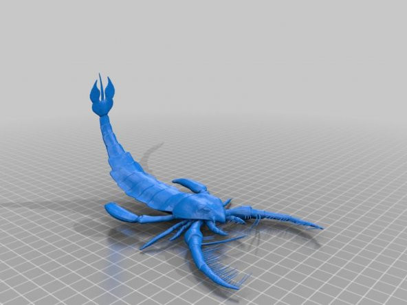 Megalograptus Plastik Aparat