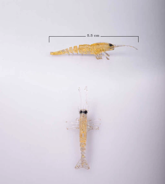 BEZLİ KARİDES 55 BAL AÇIK 30P - 2