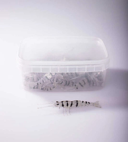 BEZLİ KARİDES 75 ŞEFFAF/SİYAH 20P - 4