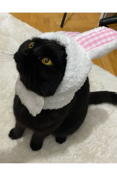 Gobo Peluş Tavşan Kulaklı Beyaz Kedi Köpek Şapkası Yumuşacık Kedi Köpek Kıyafeti - Resim 3