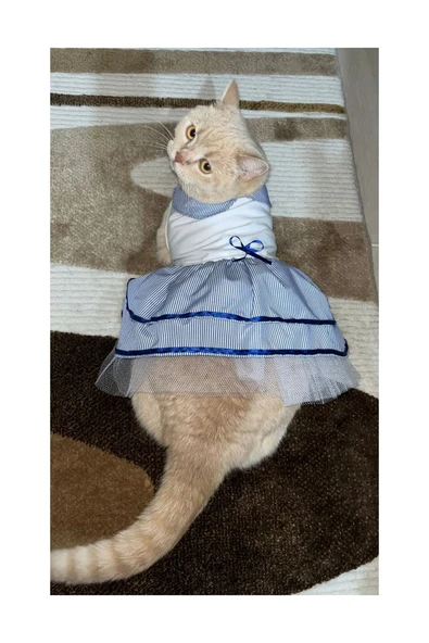 Gobo Denizci Mavi Yakalı Kurdeleli Dişi Kedi Köpek Kıyafeti Elbisesi Large/l/beden 3 - Resim 2