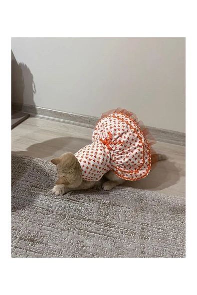 Gobo Turuncu Yaprak Desenli Kurdeleli Beyaz Kedi Köpek Kıyafeti Elbisesi - Resim 3