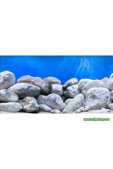 TROPİKAL Arka Fon (PARLAYAN TAŞLAR) 50 Cm Uzunluk (YÜKSEKLİK 30 CM) ürün görseli