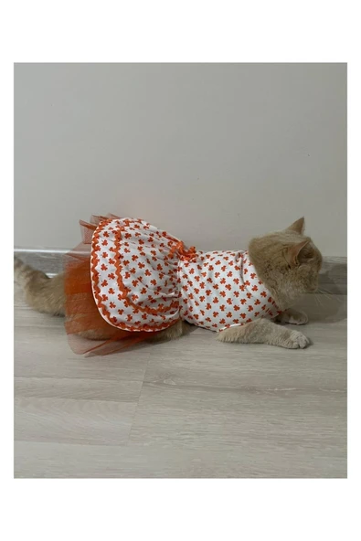 Gobo Turuncu Yaprak Desenli Kurdeleli Beyaz Kedi Köpek Kıyafeti Elbisesi Medium/m/beden 2 - Resim 5
