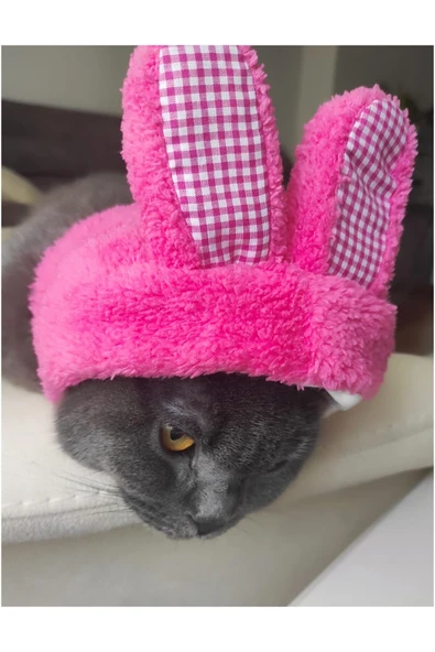 Gobo Peluş Tavşan Kulaklı Pembe Kedi Köpek Şapkası Yumuşacık Kedi Köpek Kıyafeti - Resim 3