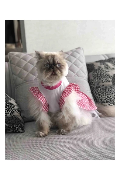 Gobo Pembe Kareli Papyonlu Dişi Kedi Köpek Kıyafeti Elbisesi Small/S/Beden 1 - Resim 4