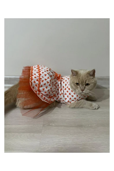 Gobo Turuncu Yaprak Desenli Kurdeleli Beyaz Kedi Köpek Kıyafeti Elbisesi Medium/m/beden 2 ürün görseli 1