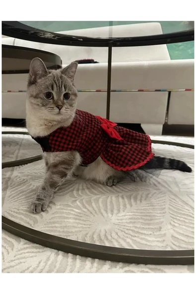 Gobo Kırmızı Siyah Kareli Papyonlu Dişi Kedi Köpek Kıyafeti Elbisesi - Resim 2