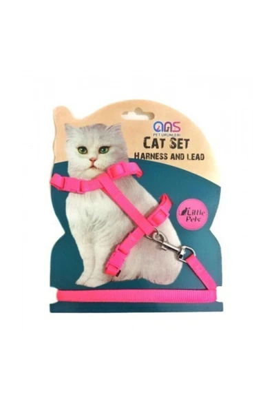 Ans Belden Kedi Takım Tasma