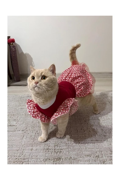 Gobo Çiçek Desenli Papyonlu Kırmızı Kedi Köpek Kıyafeti Elbisesi Large/l/beden 3 ürün görseli 1