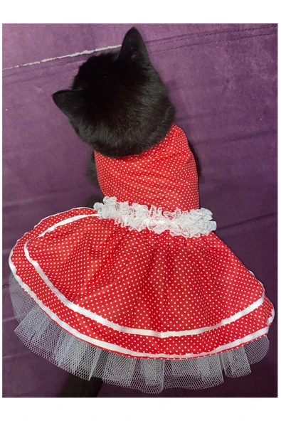Gobo Beyaz Puantiyeli Kurdeleli Kırmızı Dişi Kedi Köpek Kıyafeti Elbisesi Large/L/Beden 3 ürün görseli 1