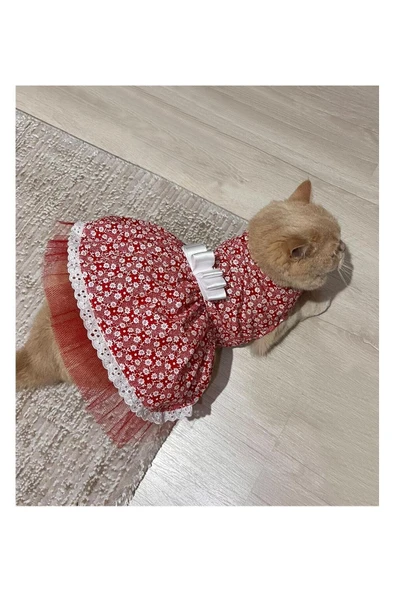 Gobo Beyaz Çiçek Desenli Fiyonklu Kırmızı Kedi Köpek Kıyafeti Elbisesi ürün görseli 1