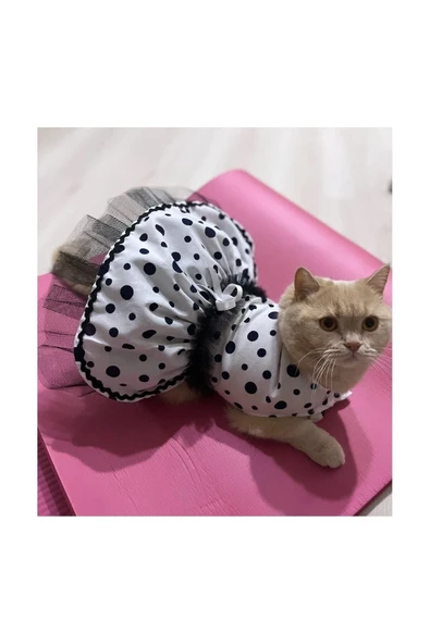 Gobo Siyah Puantiyeli Beyaz Dişi Kedi Köpek Kıyafeti Elbisesi - Resim 5