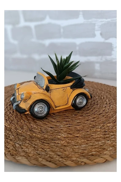 Gobo Araba Şeklinde Saksı Farklı Renklerde - Resim 5