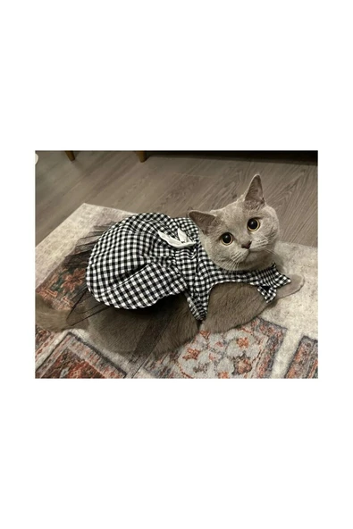 Gobo Beyaz Siyah Kareli Dişi Kedi Köpek Kıyafeti Elbisesi XLarge/XL/Beden 4 - Resim 5