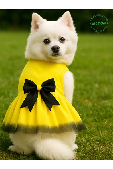 Gobo Siyah Papyonlu Sarı Tüllü Kedi Köpek Kıyafeti Elbisesi XSMALL/XS/Beden 0 - Resim 2